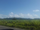 New Hope, Westmoreland, Jamaica - Commercial/farm land for Sale